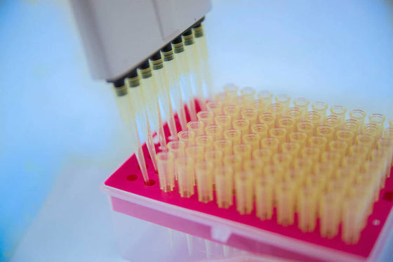 Cutting Edge Multi Cavity Molds For High Precision Micropipetting