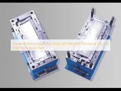 Standard Home Appliance Mold with Weather Resistance UV and 4140 Mold Base Steel